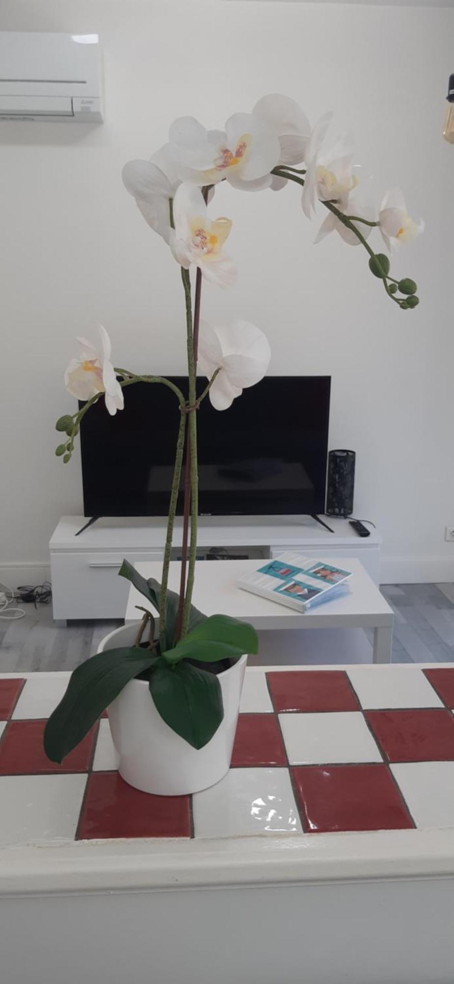 Logement Le Serein تولون المظهر الخارجي الصورة